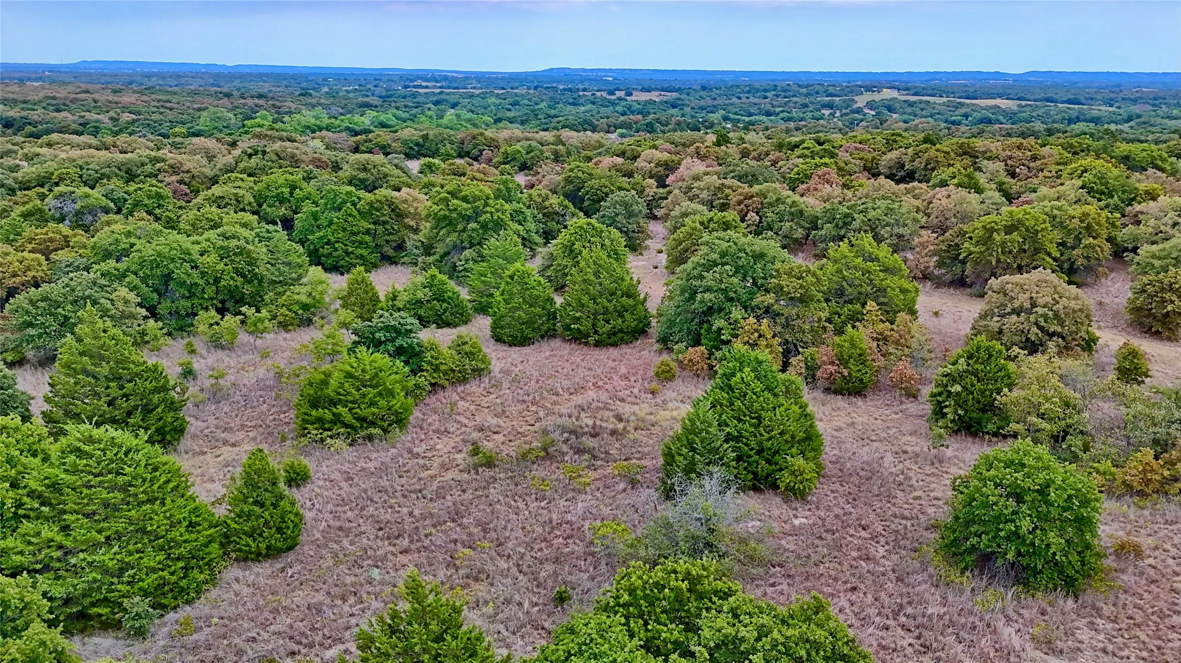 Unimproved Land For Sale in Montague County , TBD Dixie School Road, Nocona, Texas 76255, 0, 0, Garage spaces, 0 Sqft, built in 0, mls#21371662, Real Estate Agent in Nocona, Homes For Sale in Montague county, Homes For Sale in Nocona, Realtor in Nocona Texas, Real Estate Brokerage Independent Realty Texas, Luminita Cordes Realtor
