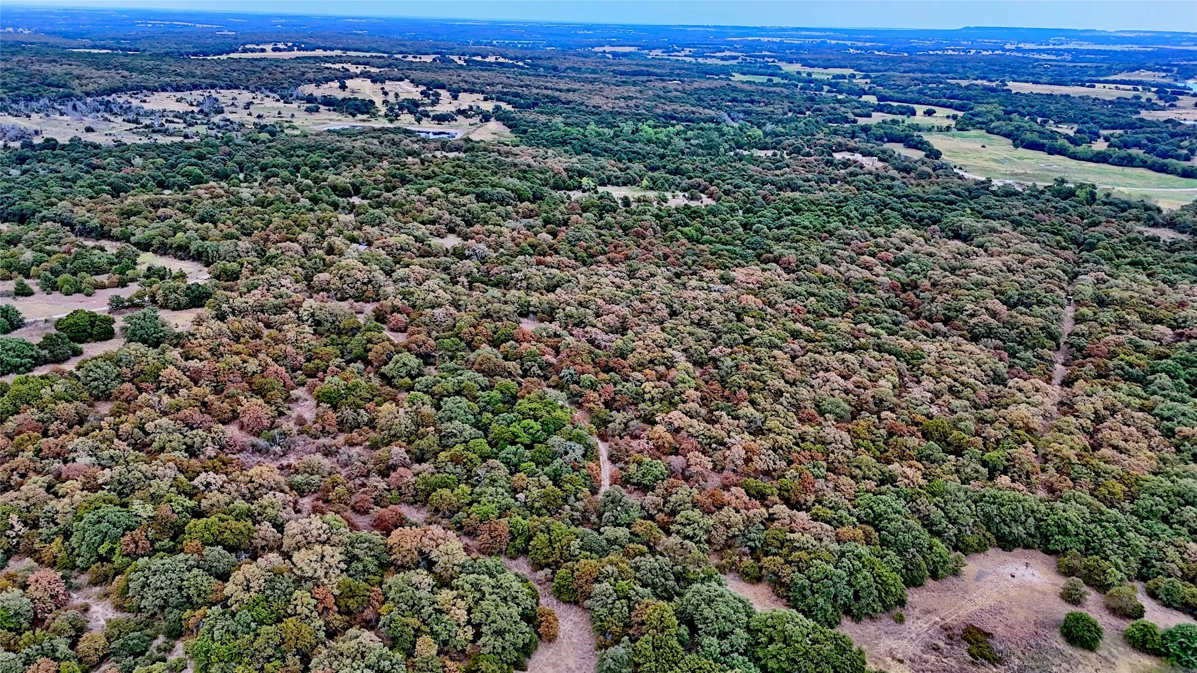 Unimproved Land For Sale in Montague County , TBD Dixie School Road, Nocona, Texas 76255, 0, 0, Garage spaces, 0 Sqft, built in 0, mls#21371662, Real Estate Agent in Nocona, Homes For Sale in Montague county, Homes For Sale in Nocona, Realtor in Nocona Texas, Real Estate Brokerage Independent Realty Texas, Luminita Cordes Realtor