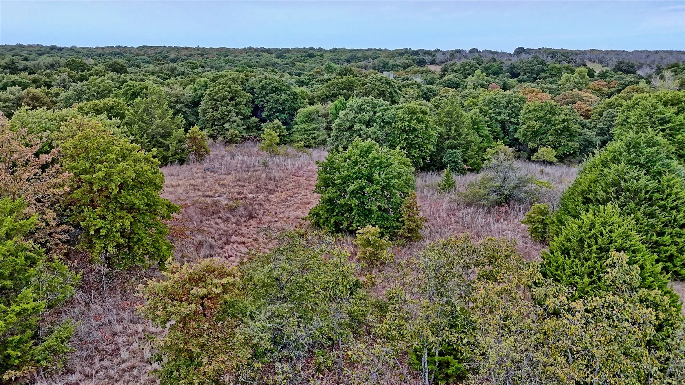Unimproved Land For Sale in Montague County , TBD Dixie School Road, Nocona, Texas 76255, 0, 0, Garage spaces, 0 Sqft, built in 0, mls#21371662, Real Estate Agent in Nocona, Homes For Sale in Montague county, Homes For Sale in Nocona, Realtor in Nocona Texas, Real Estate Brokerage Independent Realty Texas, Luminita Cordes Realtor