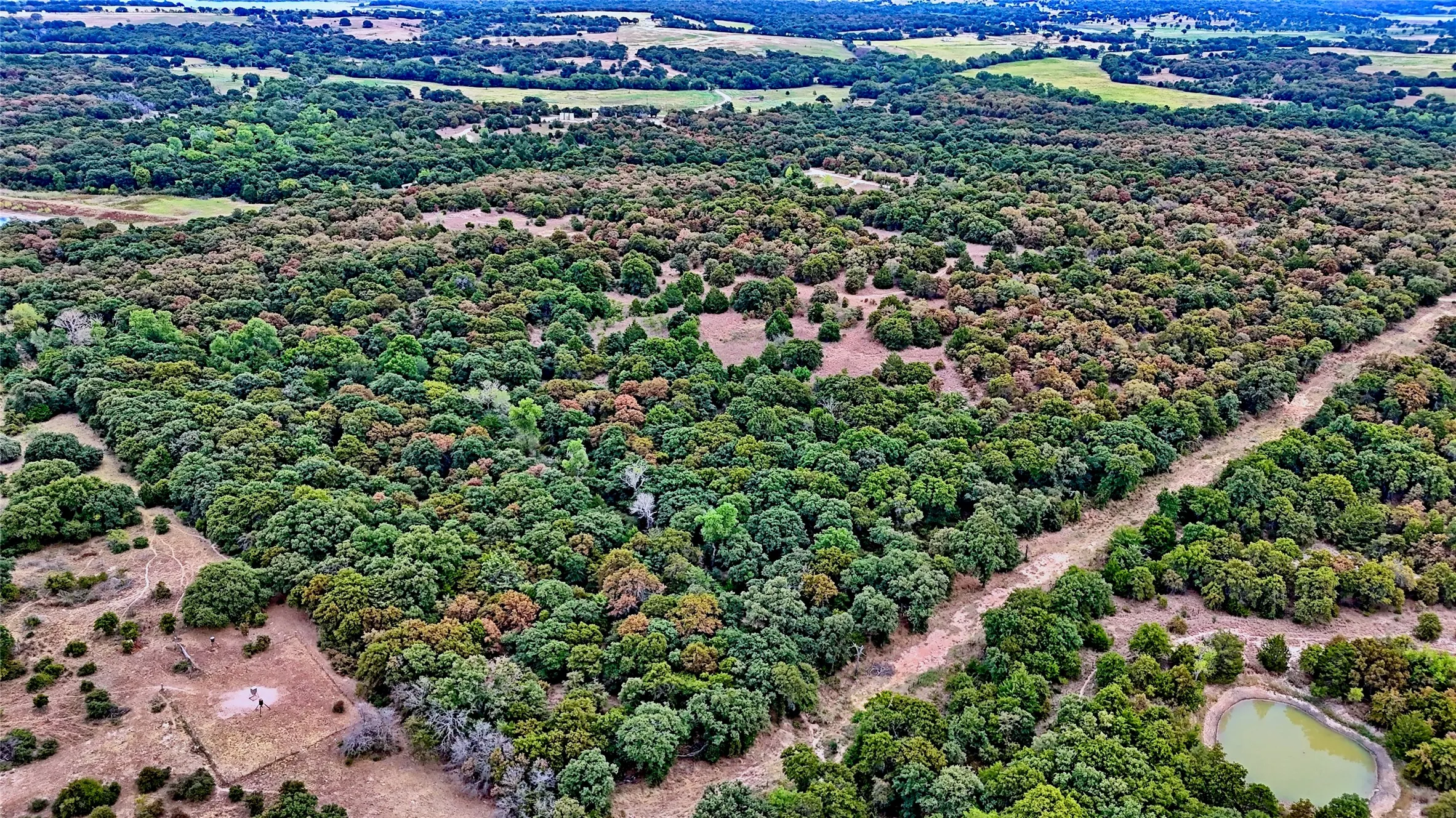 Unimproved Land For Sale in Montague County , TBD Dixie School Road, Nocona, Texas 76255, 0, 0, Garage spaces, 0 Sqft, built in 0, mls#21371662, Real Estate Agent in Nocona, Homes For Sale in Montague county, Homes For Sale in Nocona, Realtor in Nocona Texas, Real Estate Brokerage Independent Realty Texas, Luminita Cordes Realtor