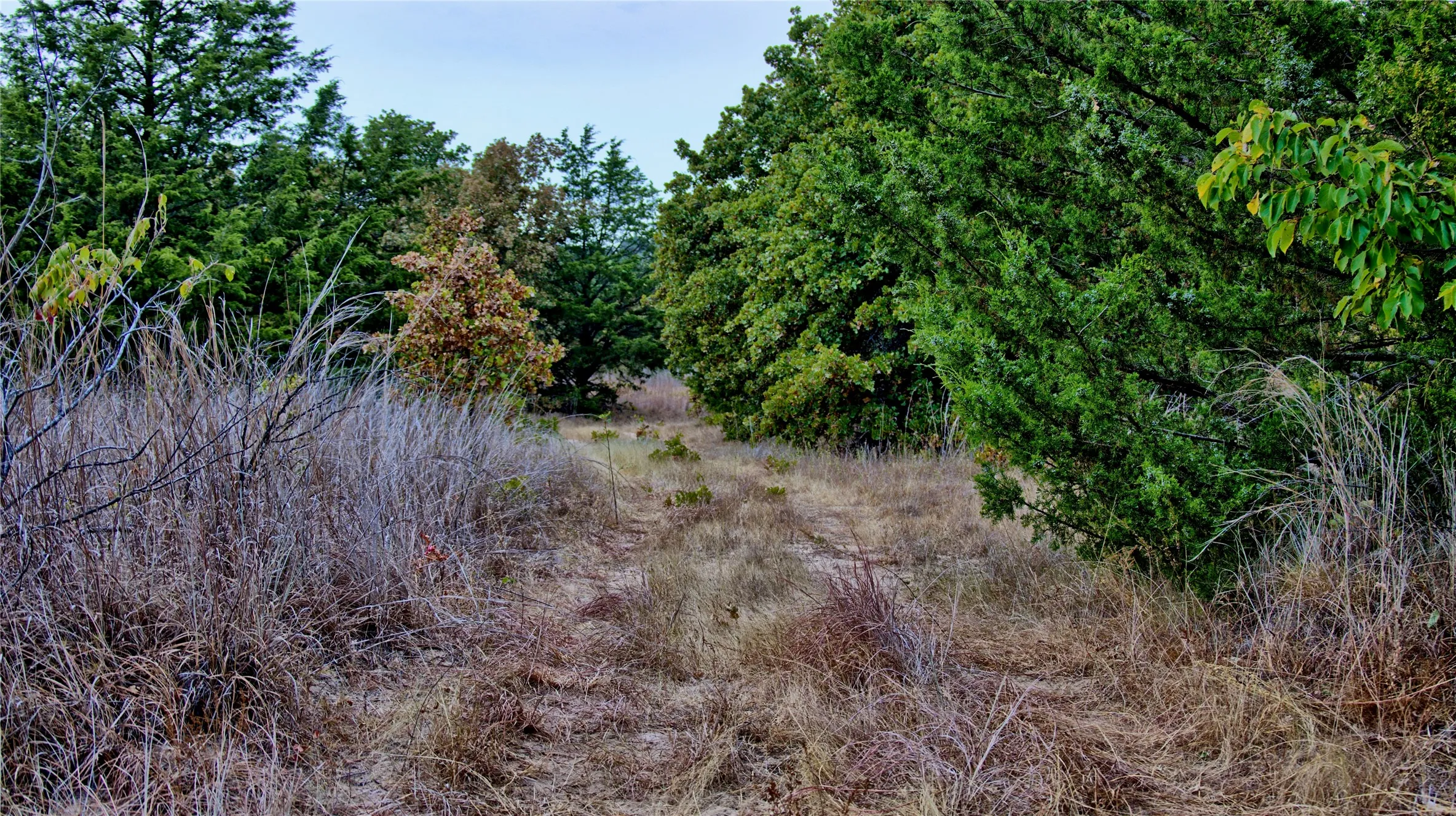 Unimproved Land For Sale in Montague County , TBD Dixie School Road, Nocona, Texas 76255, 0, 0, Garage spaces, 0 Sqft, built in 0, mls#21371662, Real Estate Agent in Nocona, Homes For Sale in Montague county, Homes For Sale in Nocona, Realtor in Nocona Texas, Real Estate Brokerage Independent Realty Texas, Luminita Cordes Realtor