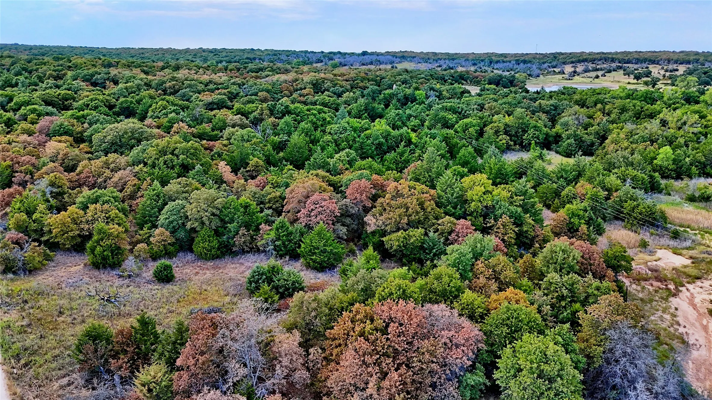 Unimproved Land For Sale in Montague County , TBD Dixie School Road, Nocona, Texas 76255, 0, 0, Garage spaces, 0 Sqft, built in 0, mls#21371662, Real Estate Agent in Nocona, Homes For Sale in Montague county, Homes For Sale in Nocona, Realtor in Nocona Texas, Real Estate Brokerage Independent Realty Texas, Luminita Cordes Realtor