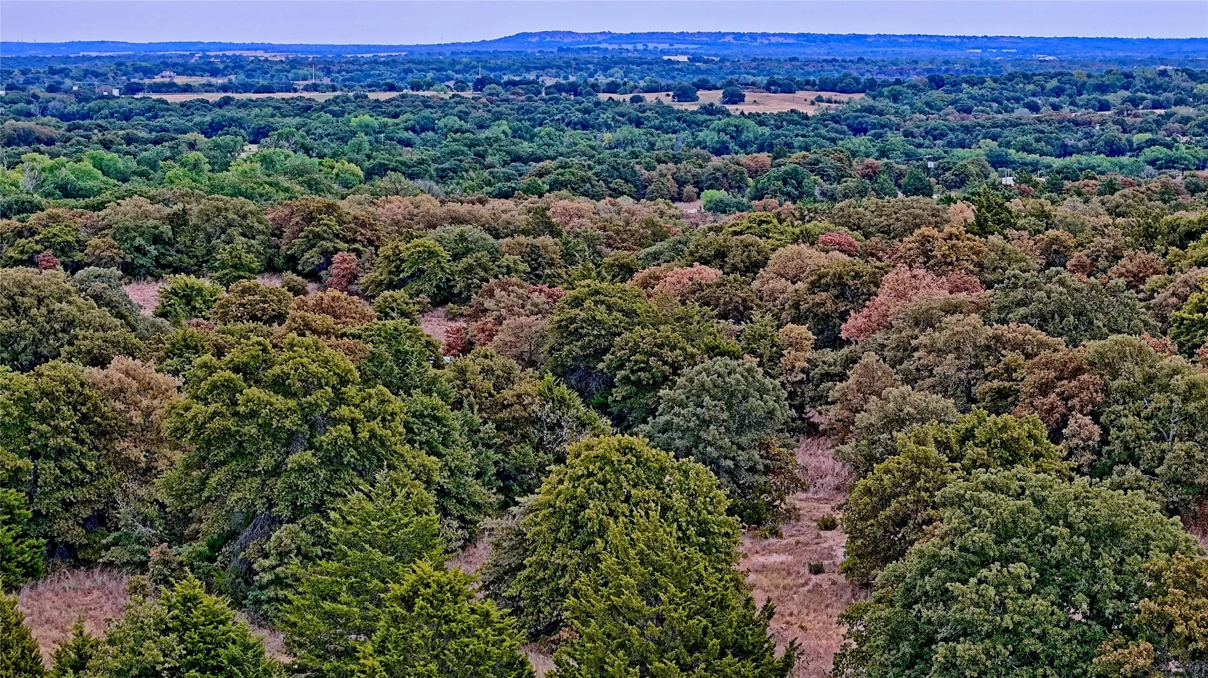 Unimproved Land For Sale in Montague County , TBD Dixie School Road, Nocona, Texas 76255, 0, 0, Garage spaces, 0 Sqft, built in 0, mls#21371662, Real Estate Agent in Nocona, Homes For Sale in Montague county, Homes For Sale in Nocona, Realtor in Nocona Texas, Real Estate Brokerage Independent Realty Texas, Luminita Cordes Realtor