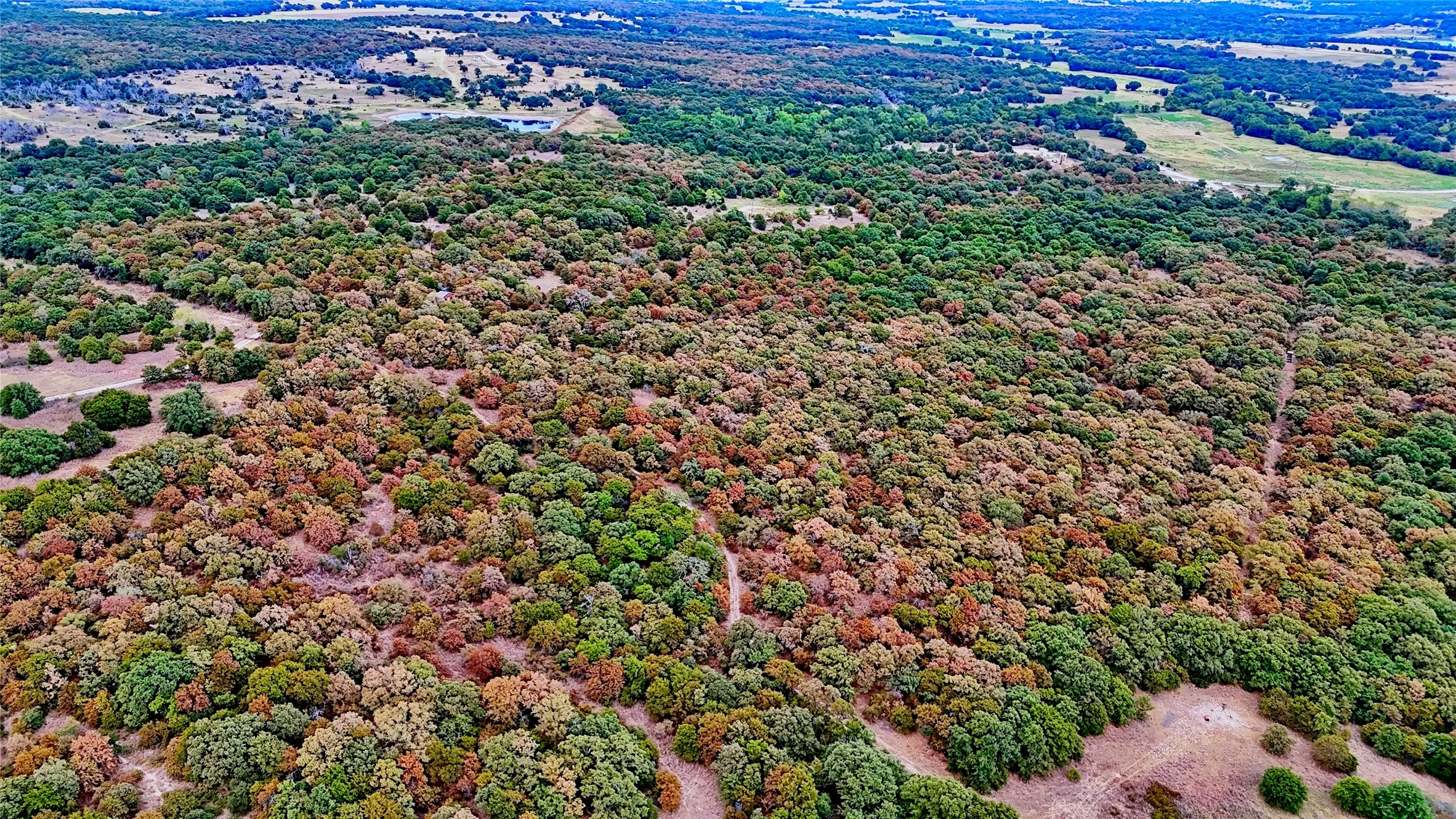 Unimproved Land For Sale in Montague County , TBD Dixie School Road, Nocona, Texas 76255, 0, 0, Garage spaces, 0 Sqft, built in 0, mls#21371662, Real Estate Agent in Nocona, Homes For Sale in Montague county, Homes For Sale in Nocona, Realtor in Nocona Texas, Real Estate Brokerage Independent Realty Texas, Luminita Cordes Realtor