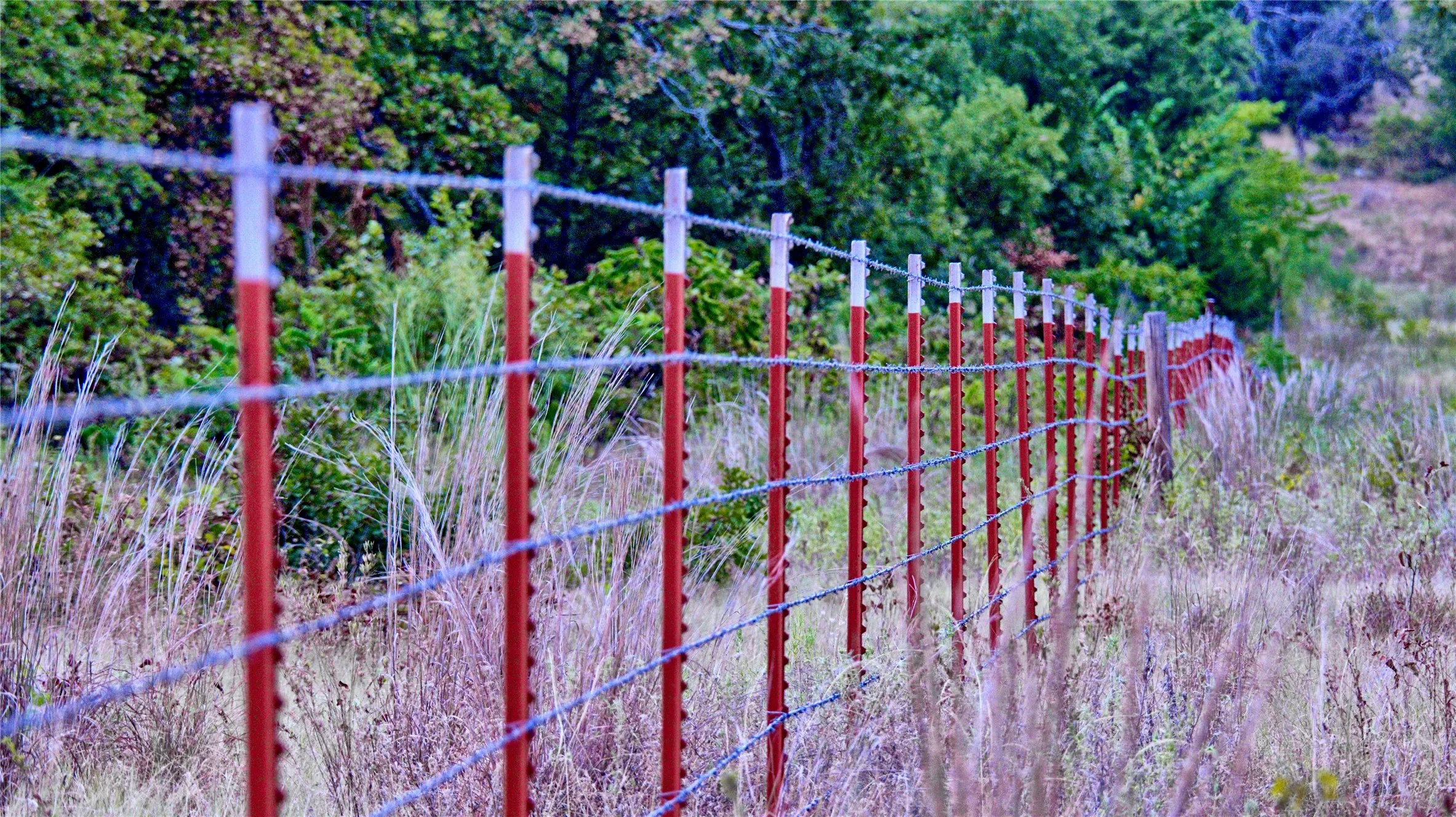 Unimproved Land For Sale in Montague County , TBD Dixie School Road, Nocona, Texas 76255, 0, 0, Garage spaces, 0 Sqft, built in 0, mls#21371662, Real Estate Agent in Nocona, Homes For Sale in Montague county, Homes For Sale in Nocona, Realtor in Nocona Texas, Real Estate Brokerage Independent Realty Texas, Luminita Cordes Realtor