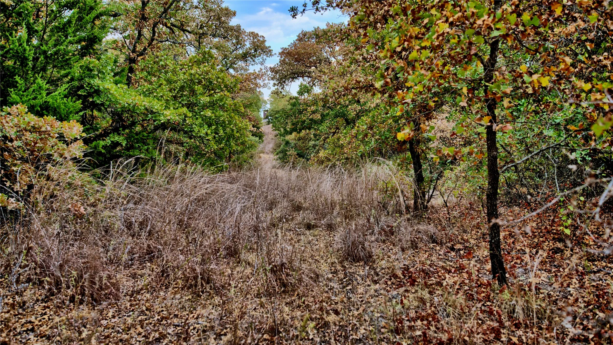Unimproved Land For Sale in Montague County , TBD Dixie School Road, Nocona, Texas 76255, 0, 0, Garage spaces, 0 Sqft, built in 0, mls#21371662, Real Estate Agent in Nocona, Homes For Sale in Montague county, Homes For Sale in Nocona, Realtor in Nocona Texas, Real Estate Brokerage Independent Realty Texas, Luminita Cordes Realtor