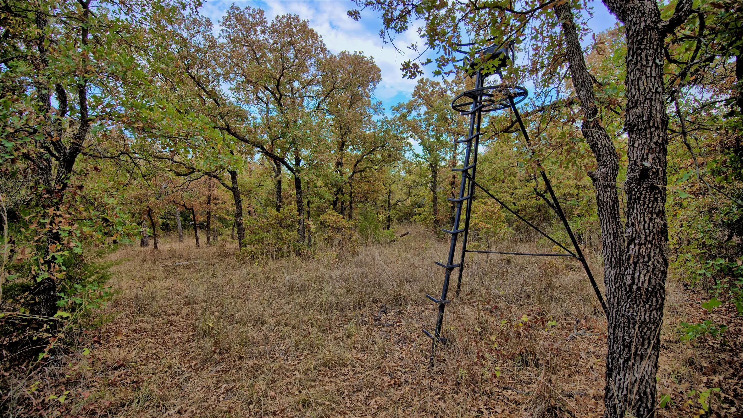 Unimproved Land For Sale in Montague County , TBD Dixie School Road, Nocona, Texas 76255, 0, 0, Garage spaces, 0 Sqft, built in 0, mls#21371662, Real Estate Agent in Nocona, Homes For Sale in Montague county, Homes For Sale in Nocona, Realtor in Nocona Texas, Real Estate Brokerage Independent Realty Texas, Luminita Cordes Realtor