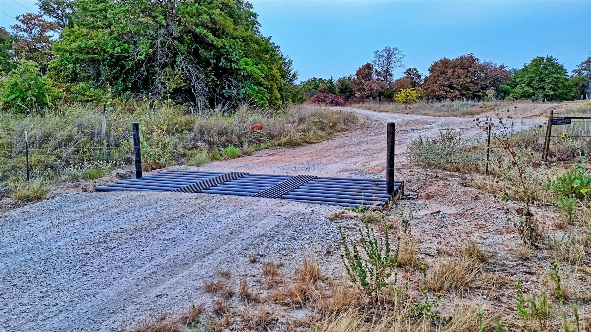 Cattle guard