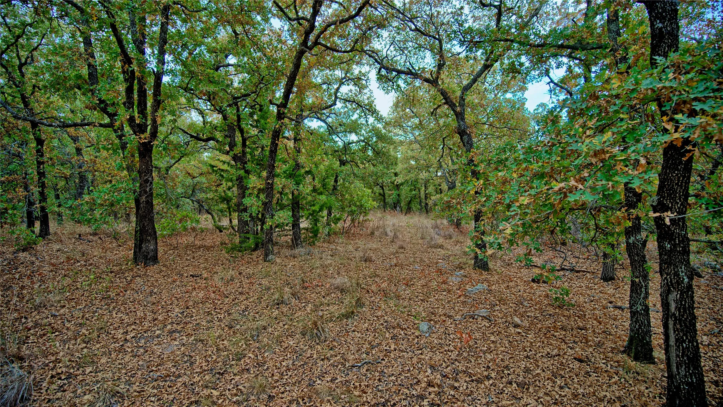 Unimproved Land For Sale in Montague County , TBD Dixie School Road, Nocona, Texas 76255, 0, 0, Garage spaces, 0 Sqft, built in 0, mls#21371662, Real Estate Agent in Nocona, Homes For Sale in Montague county, Homes For Sale in Nocona, Realtor in Nocona Texas, Real Estate Brokerage Independent Realty Texas, Luminita Cordes Realtor