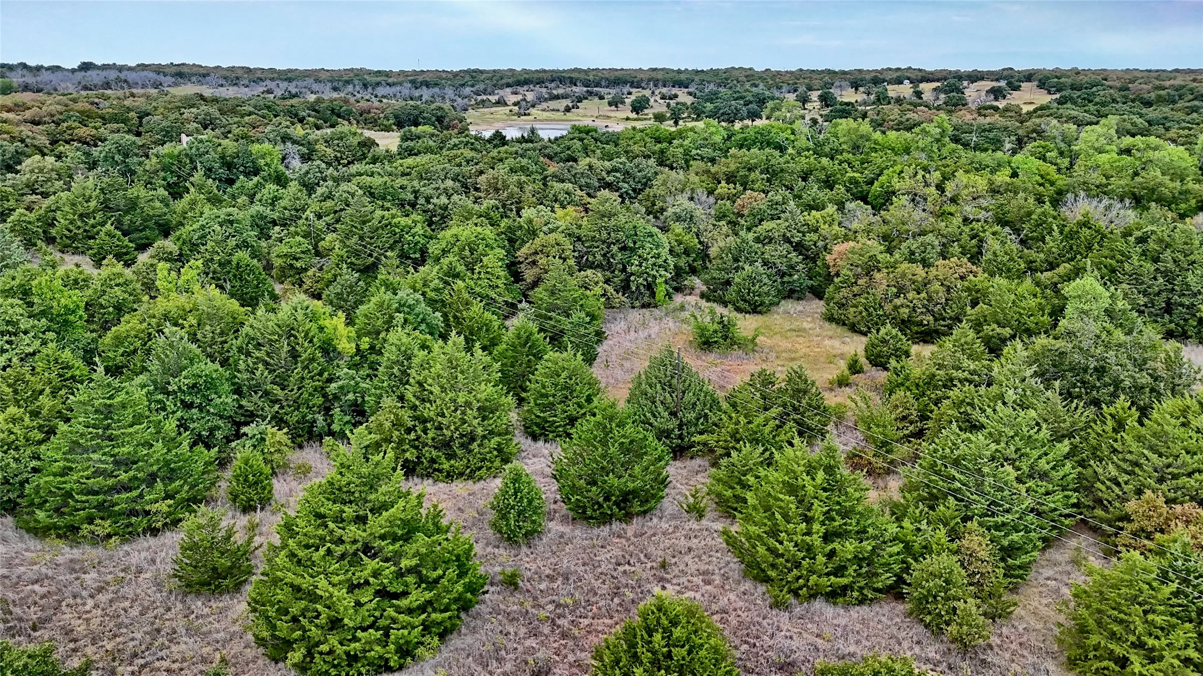 Unimproved Land For Sale in Montague County , TBD Dixie School Road, Nocona, Texas 76255, 0, 0, Garage spaces, 0 Sqft, built in 0, mls#21371662, Real Estate Agent in Nocona, Homes For Sale in Montague county, Homes For Sale in Nocona, Realtor in Nocona Texas, Real Estate Brokerage Independent Realty Texas, Luminita Cordes Realtor