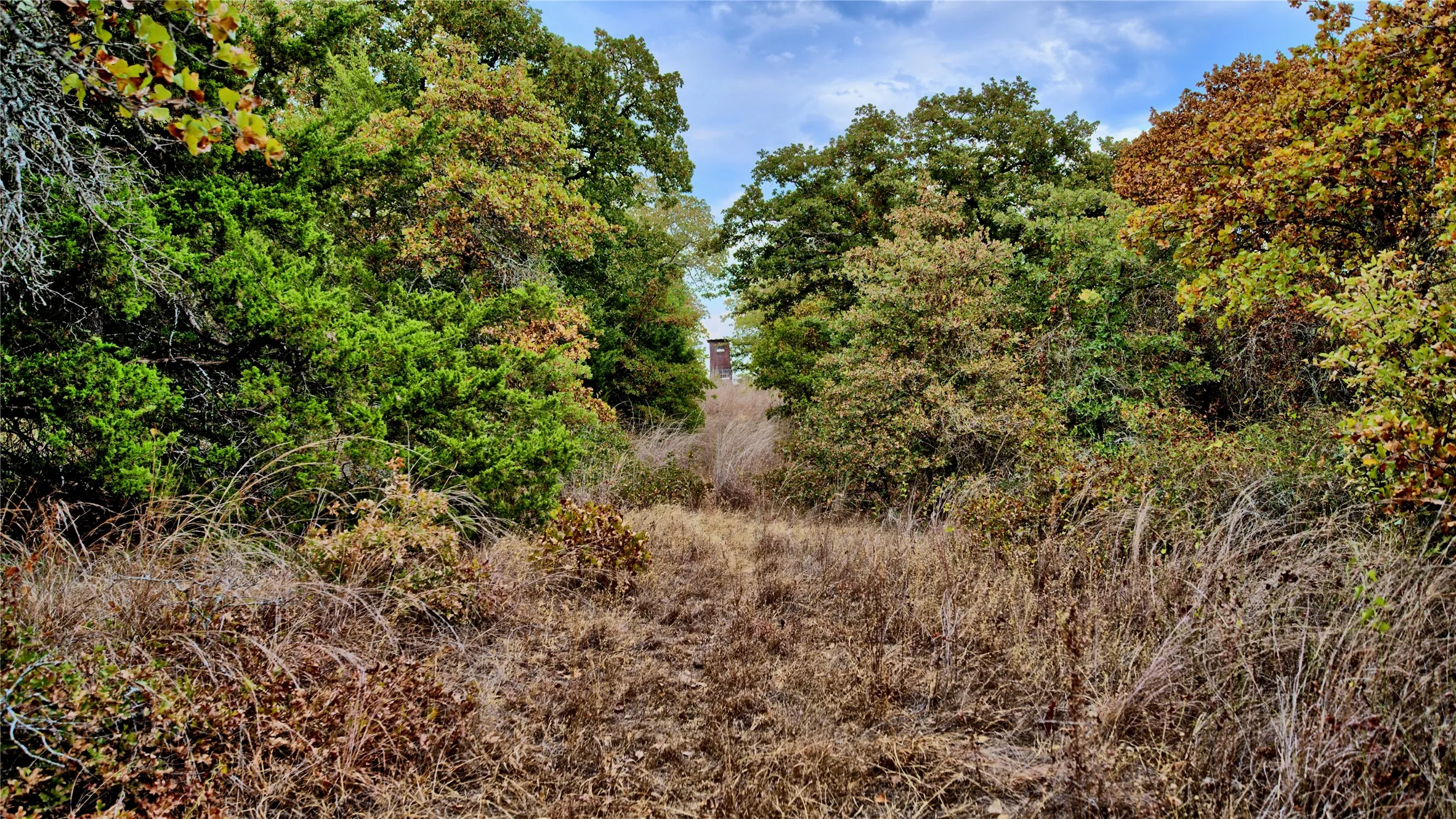 Unimproved Land For Sale in Montague County , TBD Dixie School Road, Nocona, Texas 76255, 0, 0, Garage spaces, 0 Sqft, built in 0, mls#21371662, Real Estate Agent in Nocona, Homes For Sale in Montague county, Homes For Sale in Nocona, Realtor in Nocona Texas, Real Estate Brokerage Independent Realty Texas, Luminita Cordes Realtor