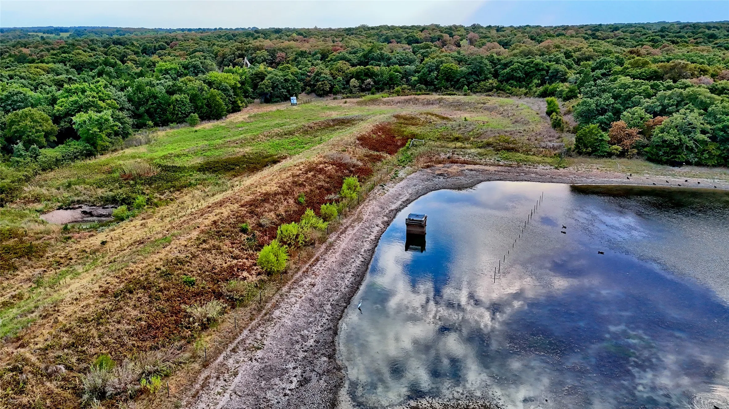 Unimproved Land For Sale in Montague County , TBD Dixie School Road, Nocona, Texas 76255, 0, 0, Garage spaces, 0 Sqft, built in 0, mls#21371662, Real Estate Agent in Nocona, Homes For Sale in Montague county, Homes For Sale in Nocona, Realtor in Nocona Texas, Real Estate Brokerage Independent Realty Texas, Luminita Cordes Realtor