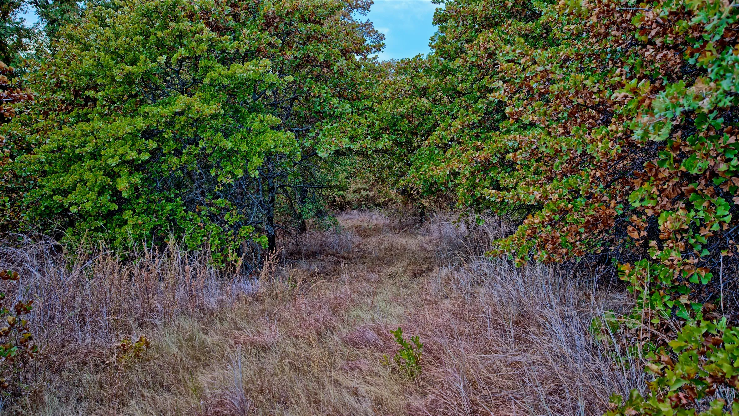 Unimproved Land For Sale in Montague County , TBD Dixie School Road, Nocona, Texas 76255, 0, 0, Garage spaces, 0 Sqft, built in 0, mls#21371662, Real Estate Agent in Nocona, Homes For Sale in Montague county, Homes For Sale in Nocona, Realtor in Nocona Texas, Real Estate Brokerage Independent Realty Texas, Luminita Cordes Realtor