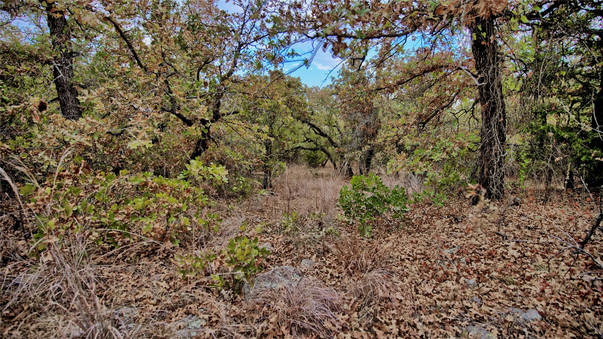 Unimproved Land For Sale in Montague County , TBD Dixie School Road, Nocona, Texas 76255, 0, 0, Garage spaces, 0 Sqft, built in 0, mls#21371662, Real Estate Agent in Nocona, Homes For Sale in Montague county, Homes For Sale in Nocona, Realtor in Nocona Texas, Real Estate Brokerage Independent Realty Texas, Luminita Cordes Realtor