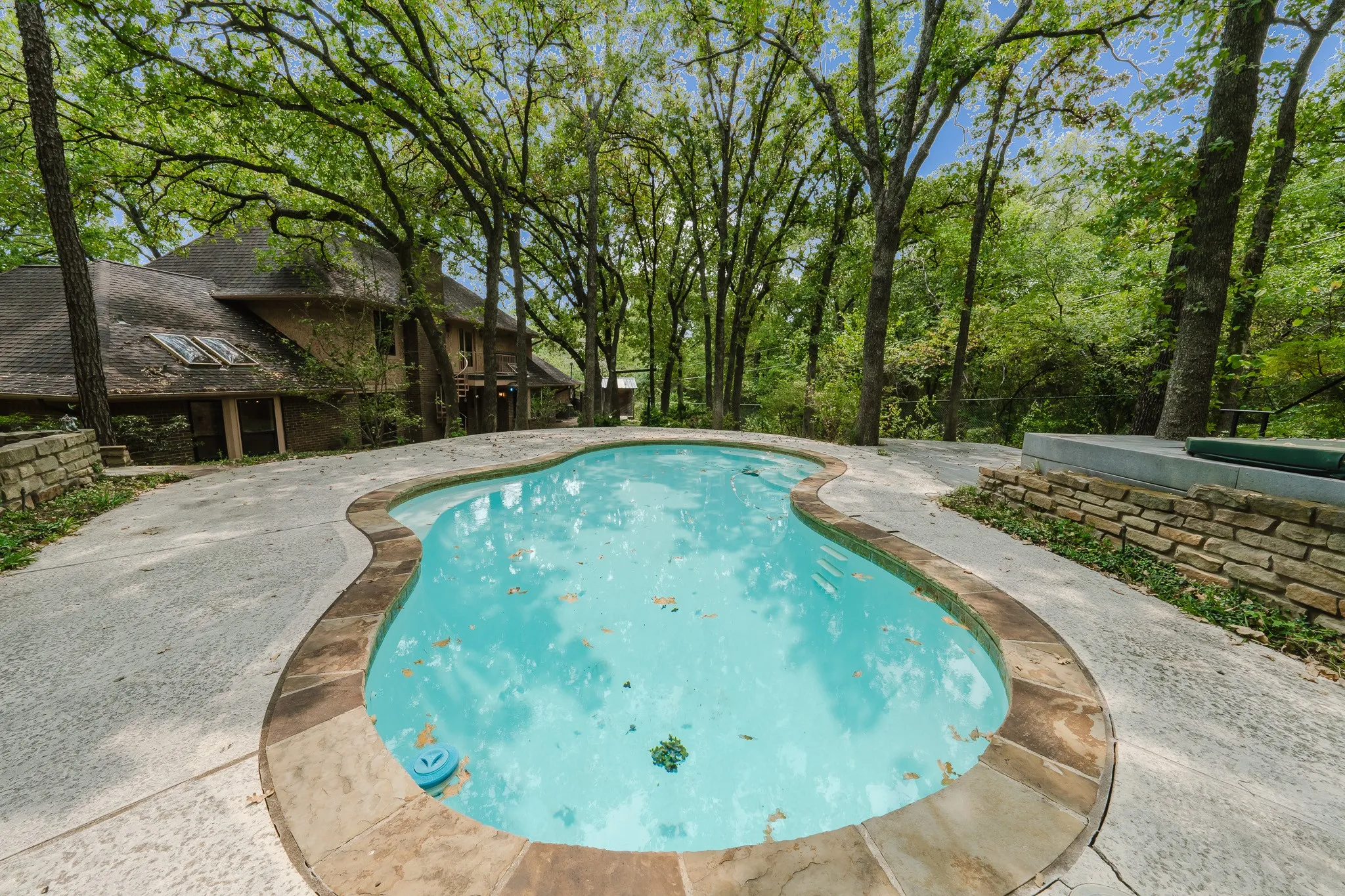 Freeform swimming pool with stone coping and a surrounding concrete deck