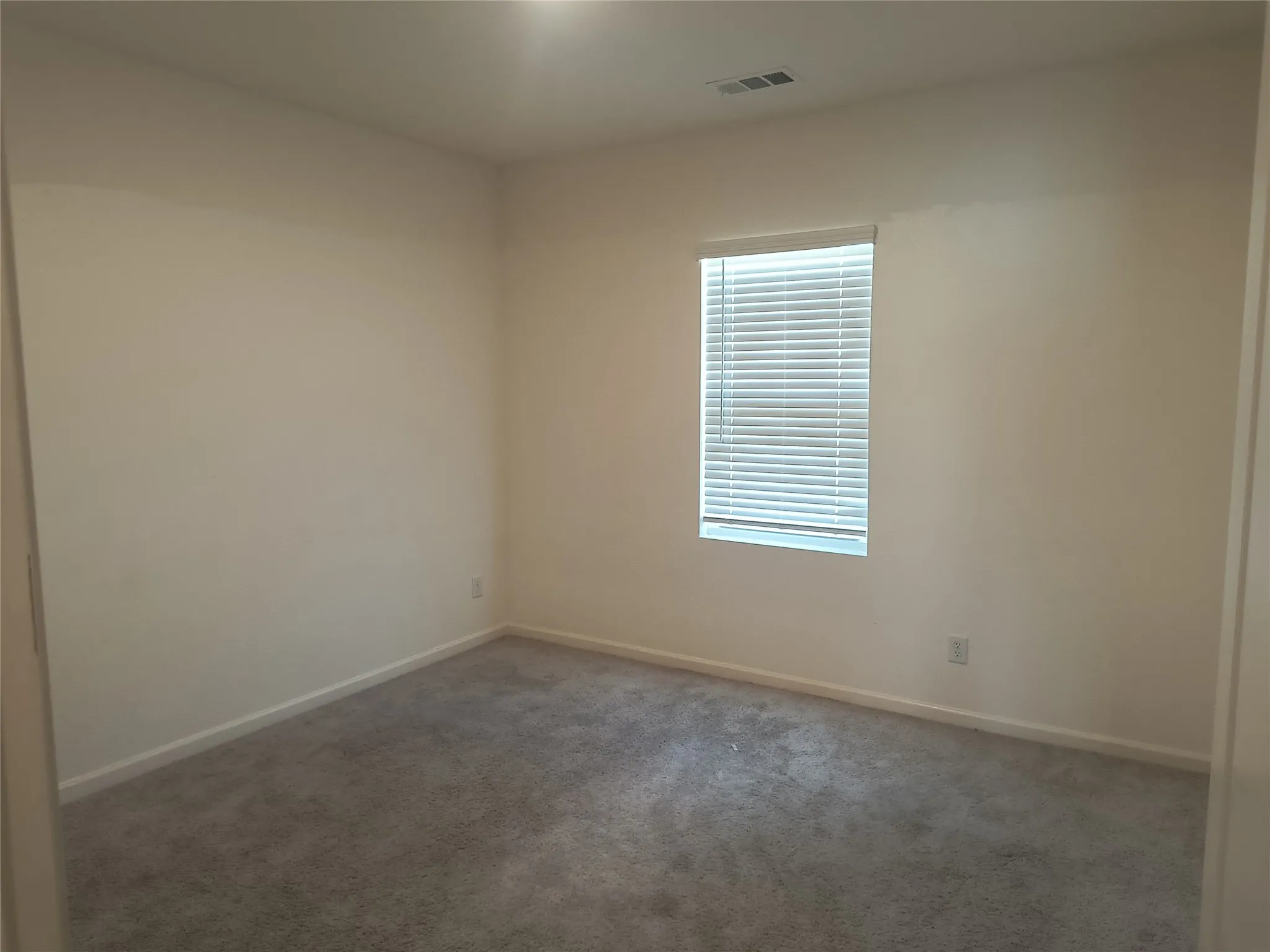 Neutral wall color, window with blinds, and gray carpet