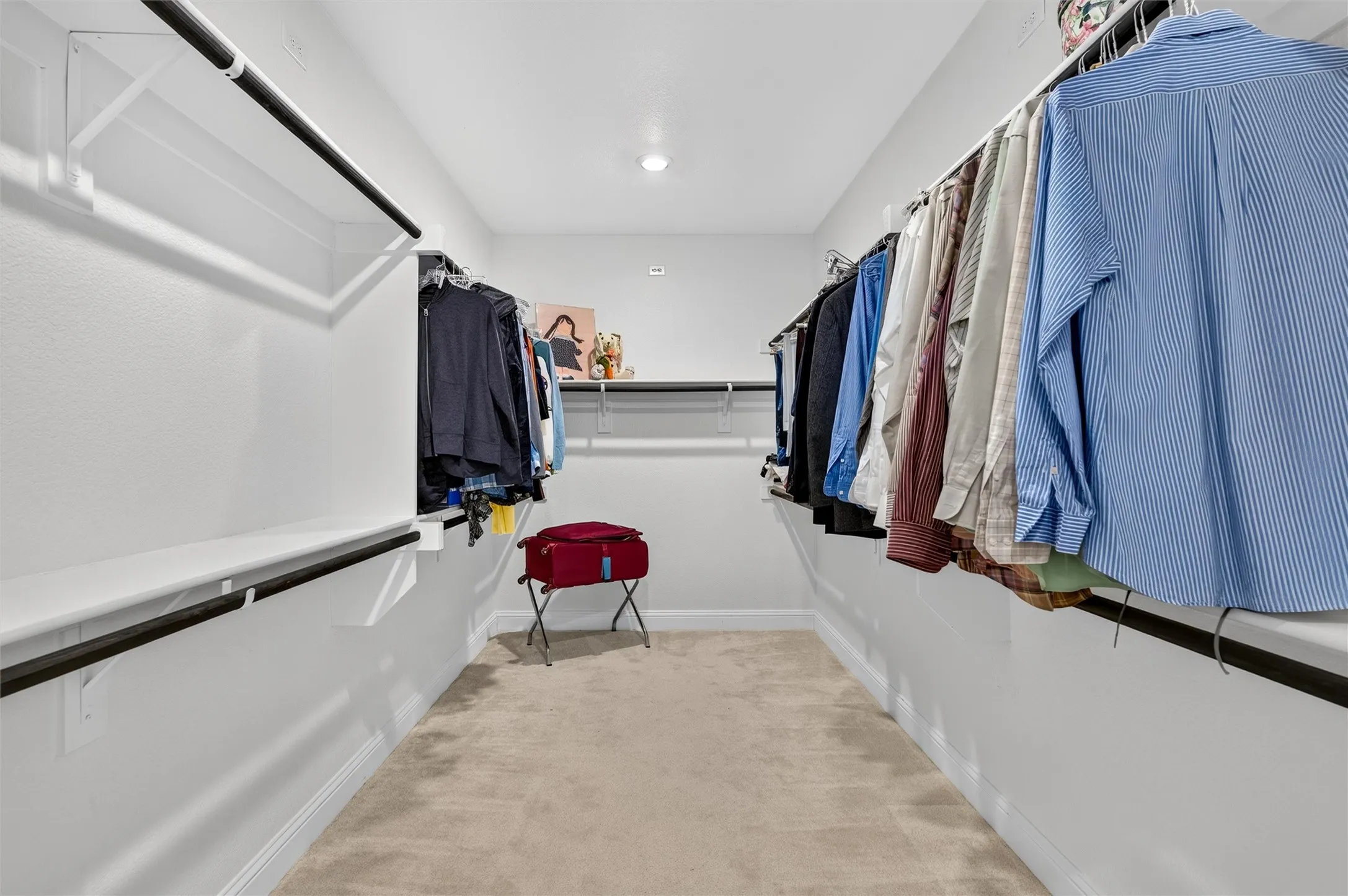 Walk-in closet with carpet flooring, white walls, built-in shelving, and hanging rods