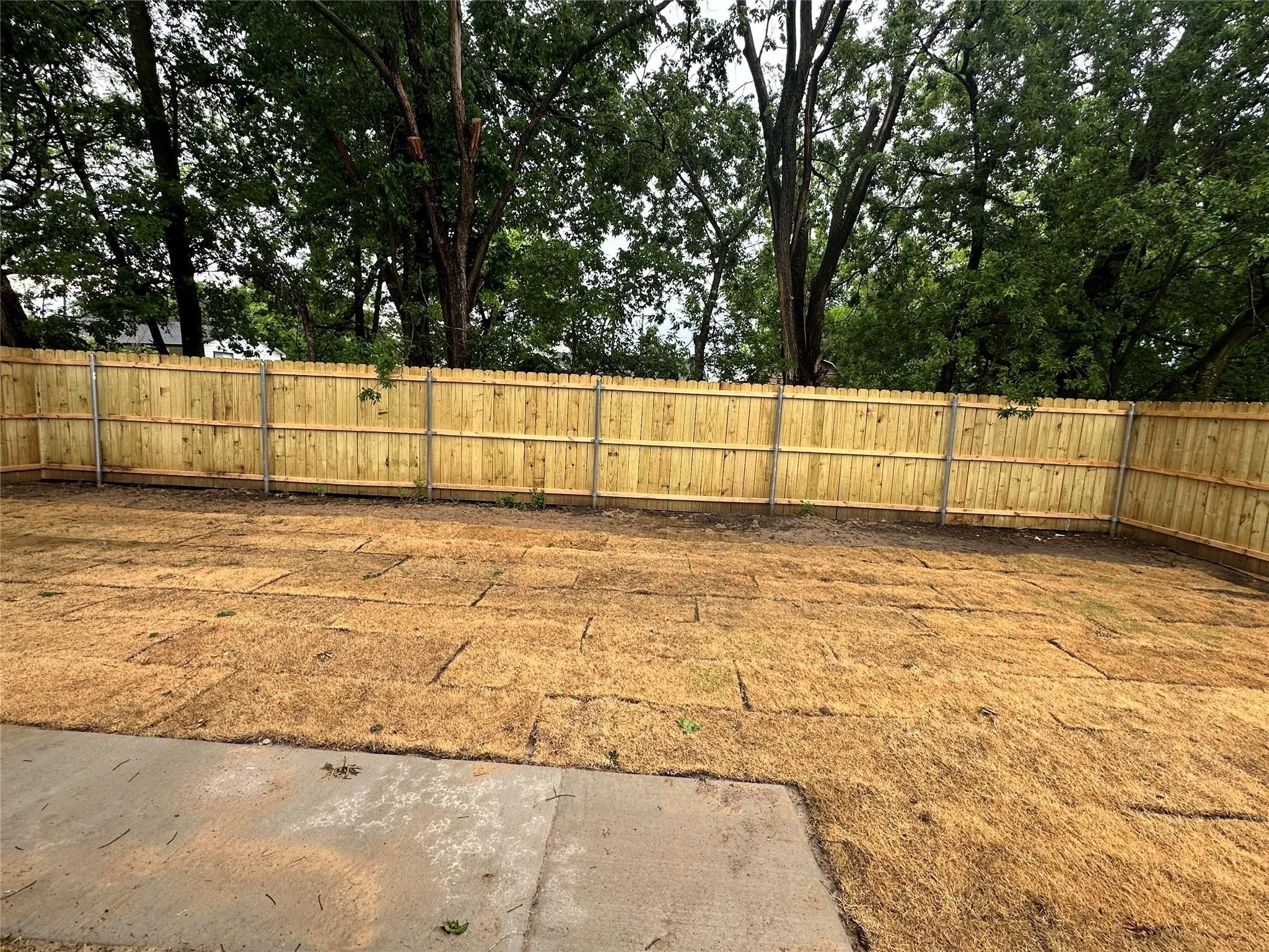 Single Family Residence For Rent in Hunt County , 825 Edgar Street, Greenville, Texas 75401, 3 Bedroom, 2 Bathroom, 2 Garage spaces, 1,439 Sqft, built in 2025, mls#21372536, Real Estate Agent in Greenville, Homes For Rent in Hunt county, Homes For Rent in Greenville, Realtor in Greenville Texas, Real Estate Brokerage Independent Realty Texas, Luminita Cordes Realtor