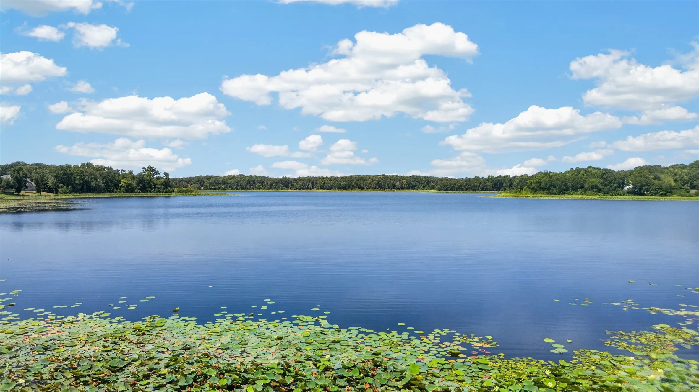 Expansive lake with a natural shoreline and aquatic vegetation