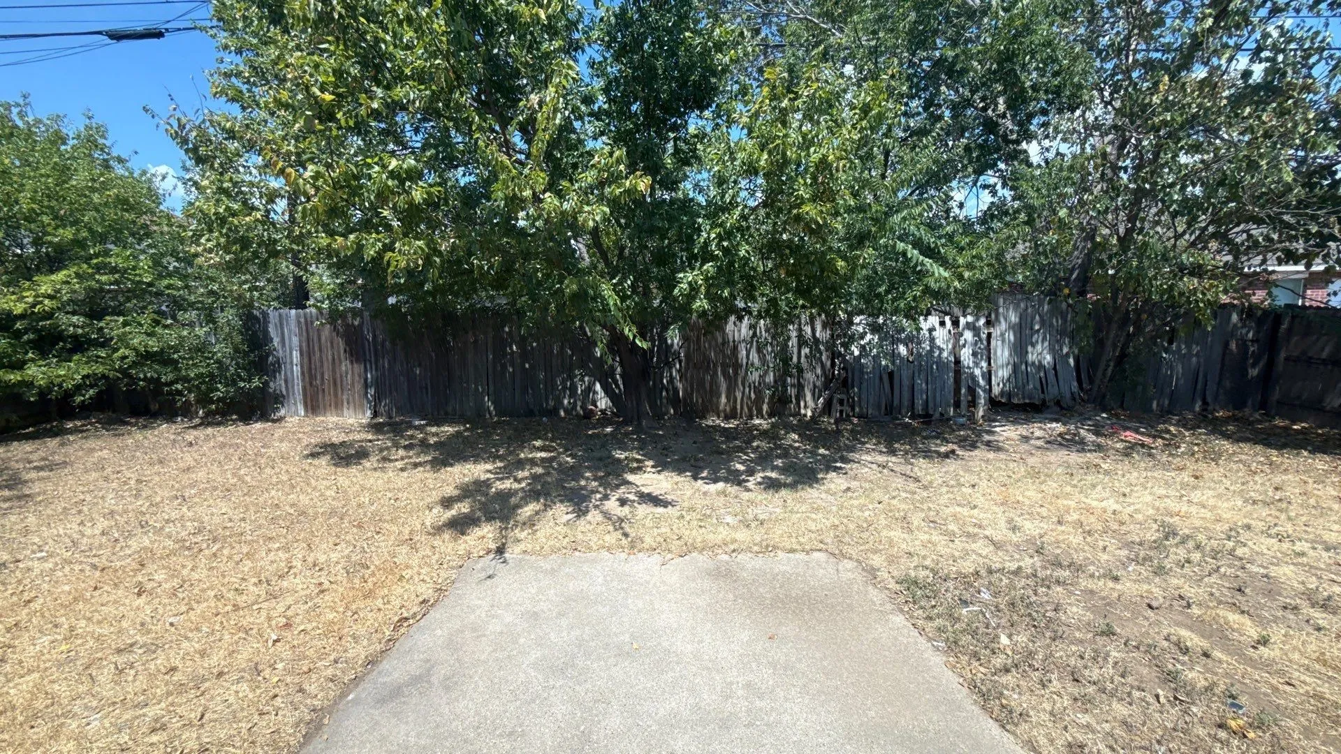 Expansive outdoor area featuring a concrete pad, mature trees, and a perimeter fence