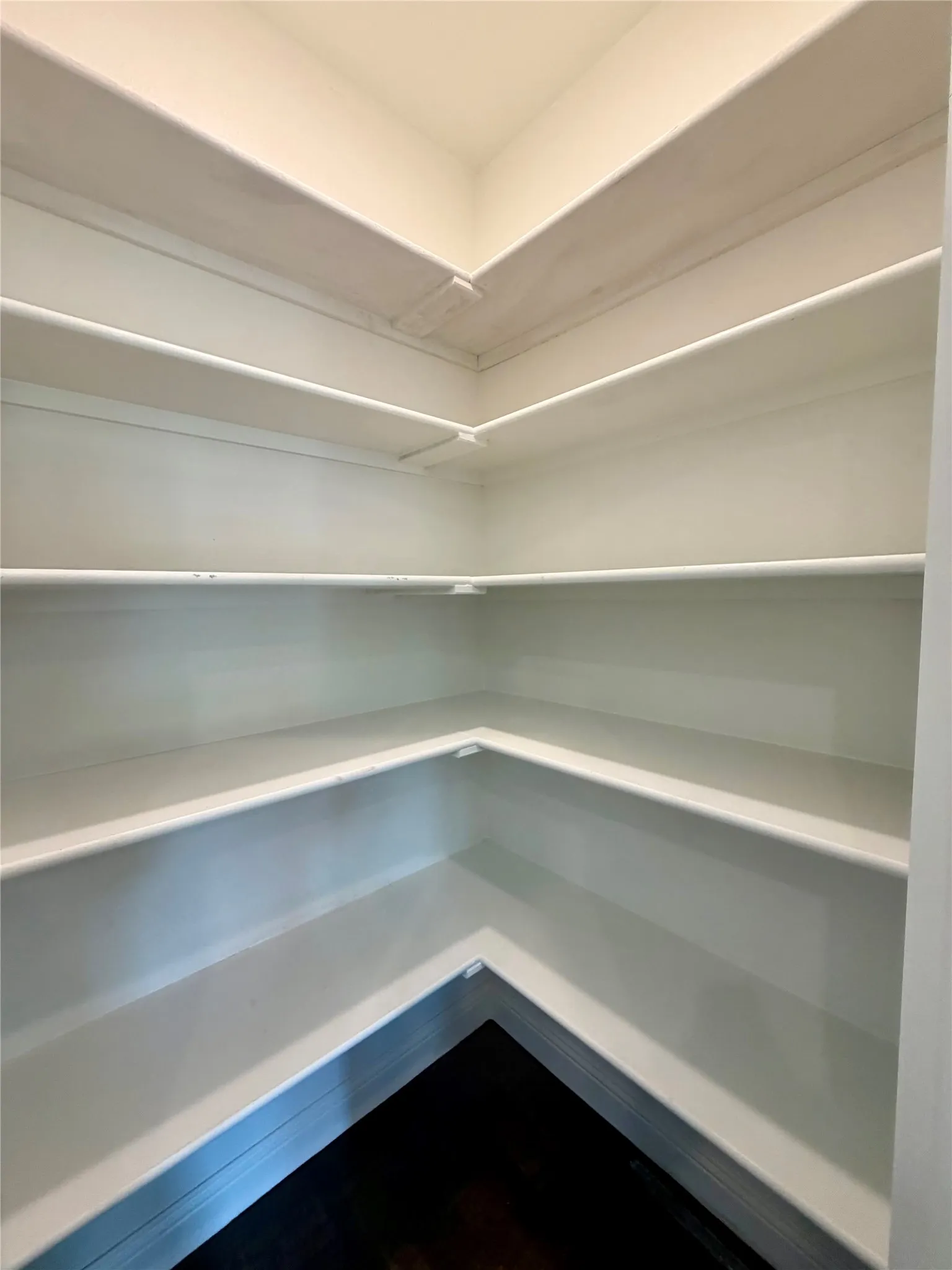 Enormous corner pantry