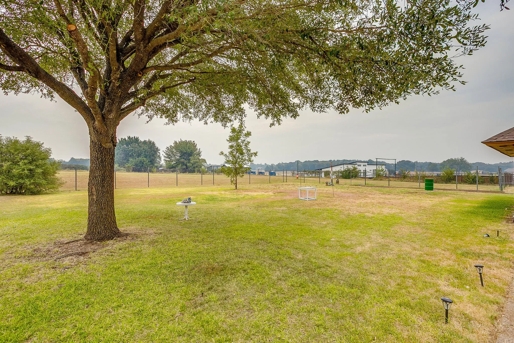 Expansive yard featuring a large mature tree, established lawn, and perimeter fencing