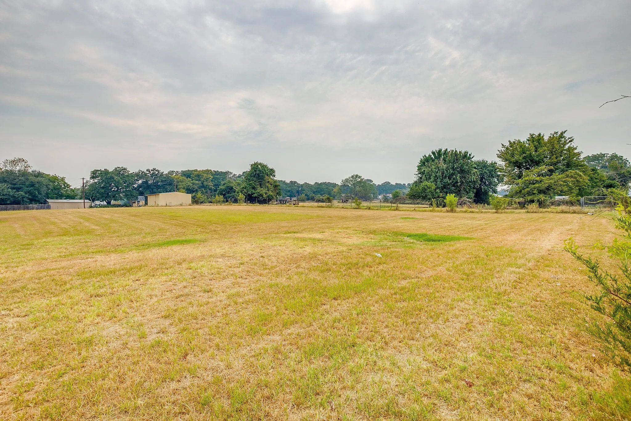 Expansive open land with a mix of green and dry grasses, bordered by mature trees