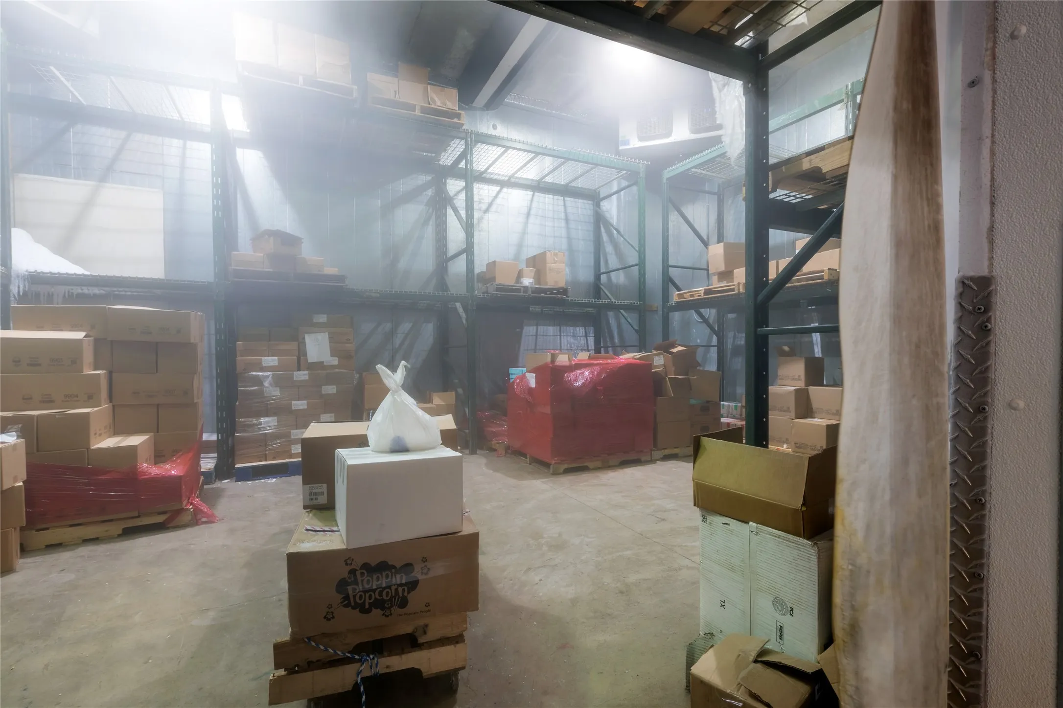 Walk-in Freezer