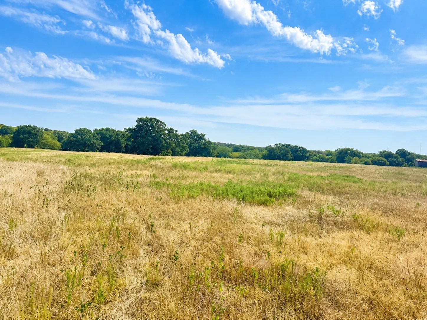 Unimproved Land For Sale in Montague County , 406 Upper Montague Road, Bowie, Texas 76230, 0, 0, Garage spaces, 0 Sqft, built in 0, mls#21369152, Real Estate Agent in Bowie, Homes For Sale in Montague county, Homes For Sale in Bowie, Realtor in Bowie Texas, Real Estate Brokerage Independent Realty Texas, Luminita Cordes Realtor