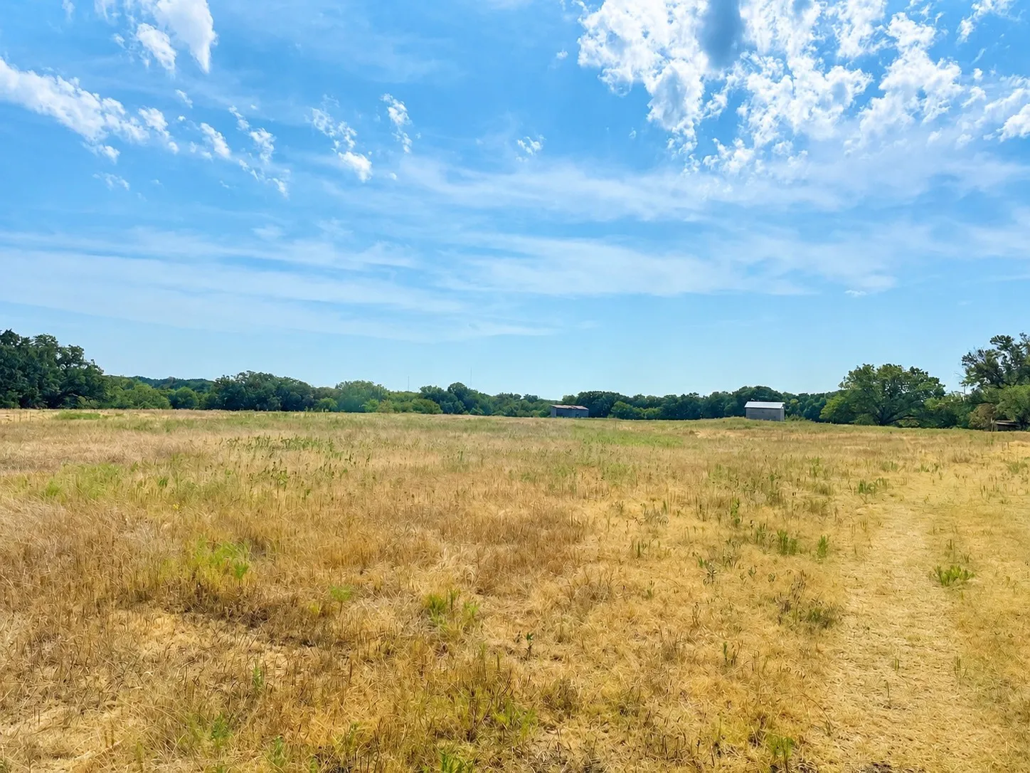 Unimproved Land For Sale in Montague County , 406 Upper Montague Road, Bowie, Texas 76230, 0, 0, Garage spaces, 0 Sqft, built in 0, mls#21369152, Real Estate Agent in Bowie, Homes For Sale in Montague county, Homes For Sale in Bowie, Realtor in Bowie Texas, Real Estate Brokerage Independent Realty Texas, Luminita Cordes Realtor