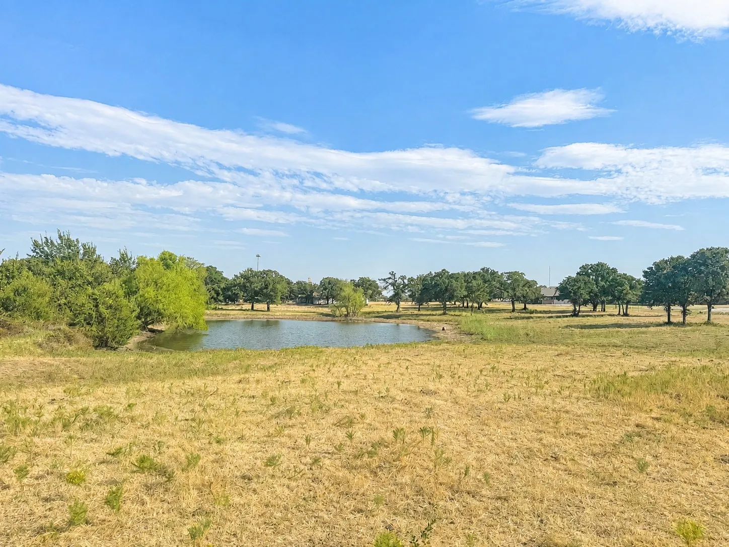 Unimproved Land For Sale in Montague County , 0 Northpark Northpark, Bowie, Texas 76230, 0, 0, Garage spaces, 0 Sqft, built in 0, mls#21369136, Real Estate Agent in Bowie, Homes For Sale in Montague county, Homes For Sale in Bowie, Realtor in Bowie Texas, Real Estate Brokerage Independent Realty Texas, Luminita Cordes Realtor
