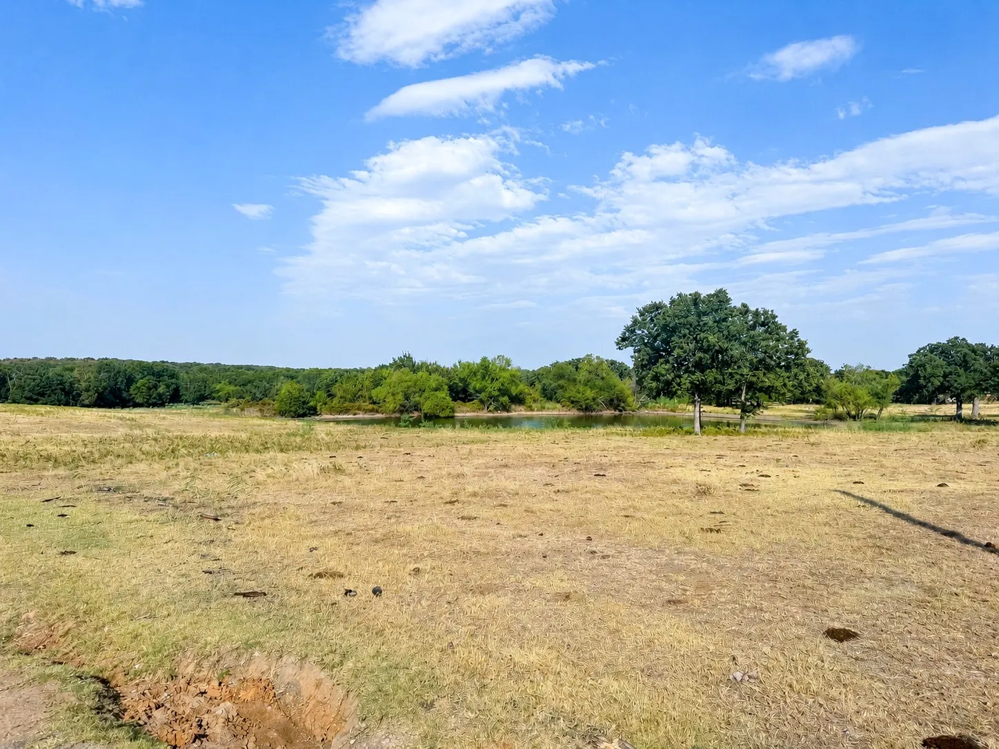 Unimproved Land For Sale in Montague County , 0 Northpark Northpark, Bowie, Texas 76230, 0, 0, Garage spaces, 0 Sqft, built in 0, mls#21369136, Real Estate Agent in Bowie, Homes For Sale in Montague county, Homes For Sale in Bowie, Realtor in Bowie Texas, Real Estate Brokerage Independent Realty Texas, Luminita Cordes Realtor