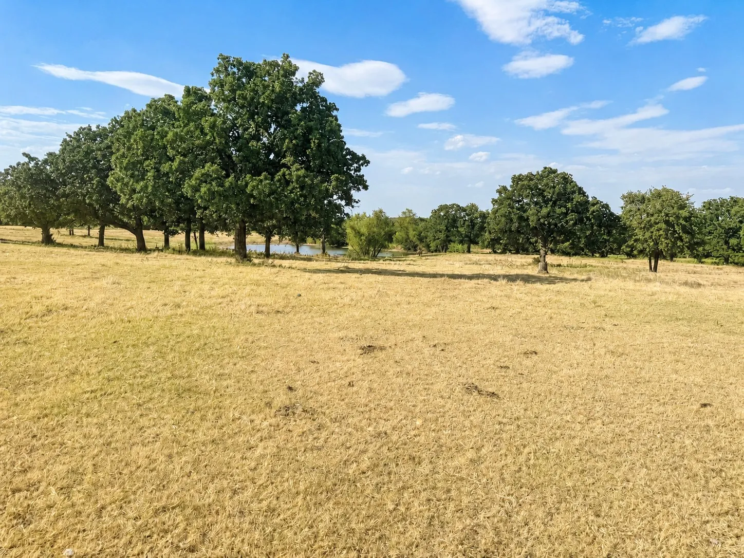 Unimproved Land For Sale in Montague County , 0 Northpark Northpark, Bowie, Texas 76230, 0, 0, Garage spaces, 0 Sqft, built in 0, mls#21369136, Real Estate Agent in Bowie, Homes For Sale in Montague county, Homes For Sale in Bowie, Realtor in Bowie Texas, Real Estate Brokerage Independent Realty Texas, Luminita Cordes Realtor