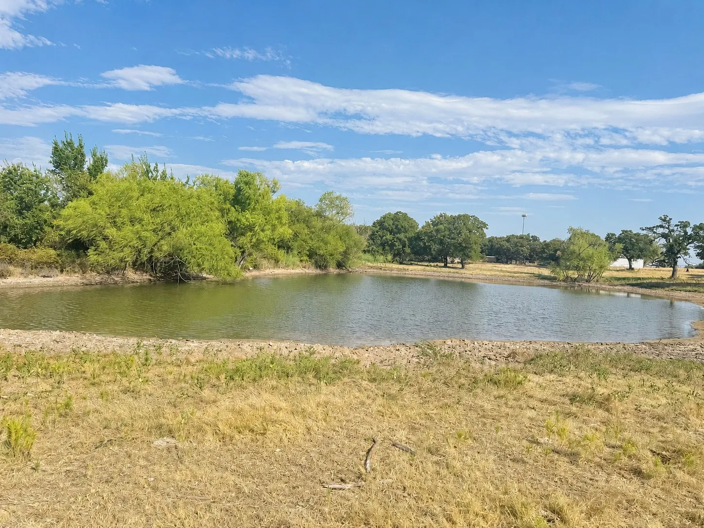 Unimproved Land For Sale in Montague County , 0 Northpark Northpark, Bowie, Texas 76230, 0, 0, Garage spaces, 0 Sqft, built in 0, mls#21369136, Real Estate Agent in Bowie, Homes For Sale in Montague county, Homes For Sale in Bowie, Realtor in Bowie Texas, Real Estate Brokerage Independent Realty Texas, Luminita Cordes Realtor
