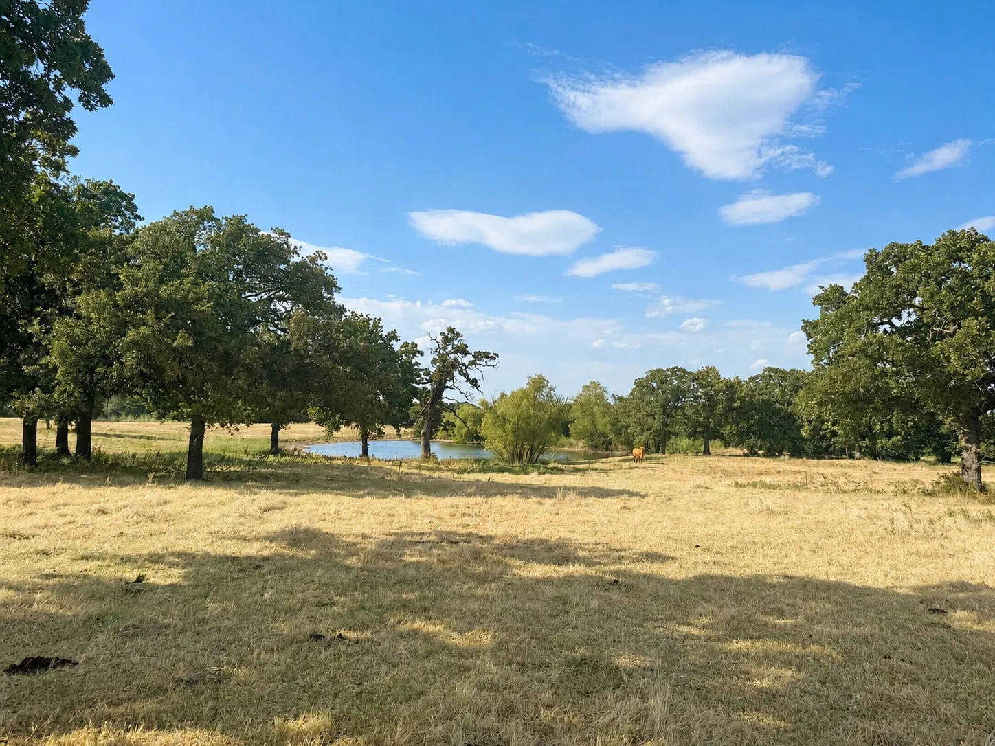 Unimproved Land For Sale in Montague County , 0 Northpark Northpark, Bowie, Texas 76230, 0, 0, Garage spaces, 0 Sqft, built in 0, mls#21369136, Real Estate Agent in Bowie, Homes For Sale in Montague county, Homes For Sale in Bowie, Realtor in Bowie Texas, Real Estate Brokerage Independent Realty Texas, Luminita Cordes Realtor