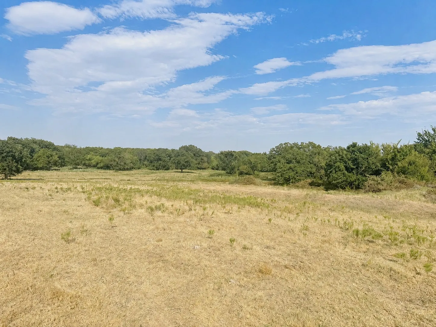 Unimproved Land For Sale in Montague County , 0 Northpark Northpark, Bowie, Texas 76230, 0, 0, Garage spaces, 0 Sqft, built in 0, mls#21369136, Real Estate Agent in Bowie, Homes For Sale in Montague county, Homes For Sale in Bowie, Realtor in Bowie Texas, Real Estate Brokerage Independent Realty Texas, Luminita Cordes Realtor