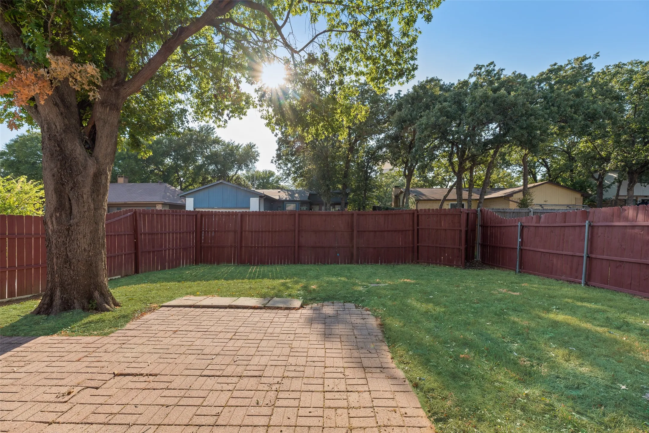 Expansive outdoor space featuring a paved patio, a large mature tree, a manicured lawn, and a privacy fence