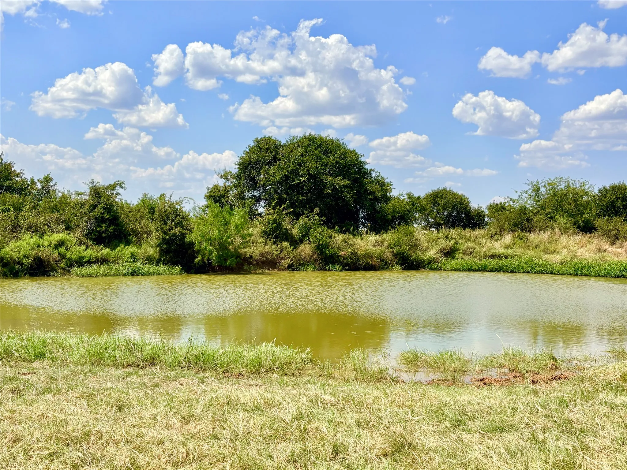 Farm For Sale in Eastland County , 325 Highway 2563, Eastland, Texas 76448, 3 Bedroom, 2 Bathroom, 2 Garage spaces, 2,272 Sqft, built in 1967, mls#21372633, Real Estate Agent in Eastland, Homes For Sale in Eastland county, Homes For Sale in Eastland, Realtor in Eastland Texas, Real Estate Brokerage Independent Realty Texas, Luminita Cordes Realtor