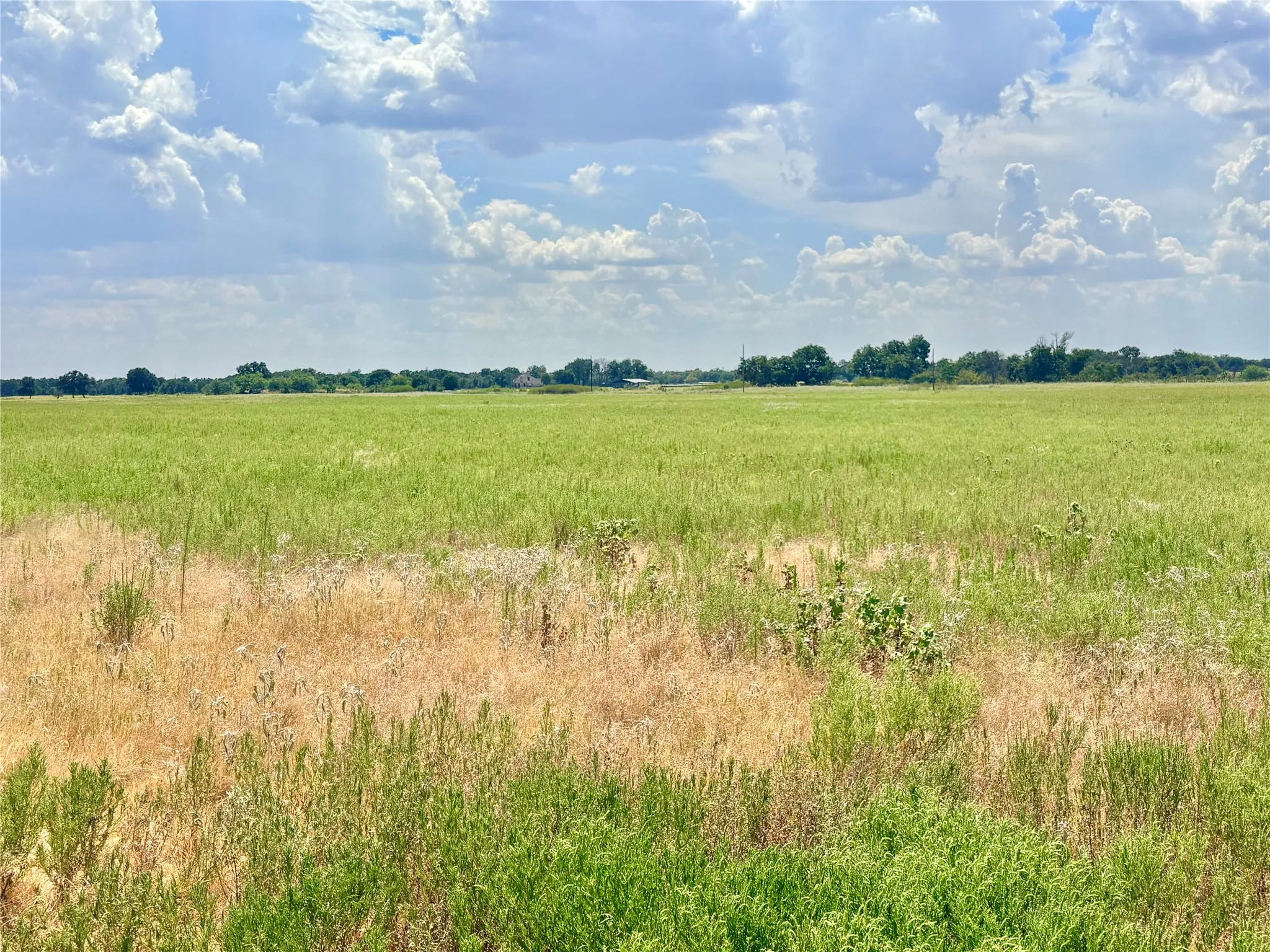 Farm For Sale in Eastland County , 325 Highway 2563, Eastland, Texas 76448, 3 Bedroom, 2 Bathroom, 2 Garage spaces, 2,272 Sqft, built in 1967, mls#21372633, Real Estate Agent in Eastland, Homes For Sale in Eastland county, Homes For Sale in Eastland, Realtor in Eastland Texas, Real Estate Brokerage Independent Realty Texas, Luminita Cordes Realtor