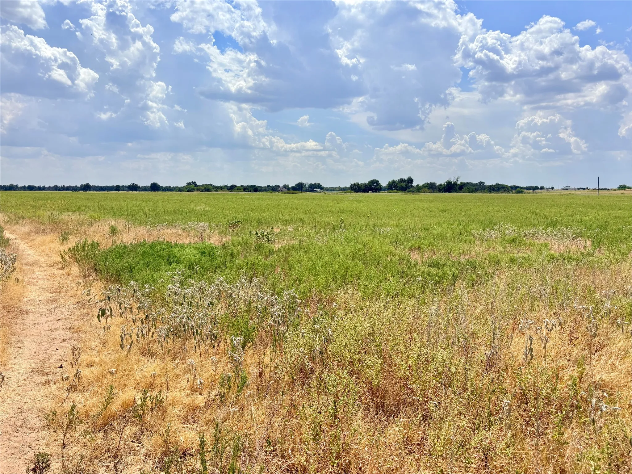 Farm For Sale in Eastland County , 325 Highway 2563, Eastland, Texas 76448, 3 Bedroom, 2 Bathroom, 2 Garage spaces, 2,272 Sqft, built in 1967, mls#21372633, Real Estate Agent in Eastland, Homes For Sale in Eastland county, Homes For Sale in Eastland, Realtor in Eastland Texas, Real Estate Brokerage Independent Realty Texas, Luminita Cordes Realtor