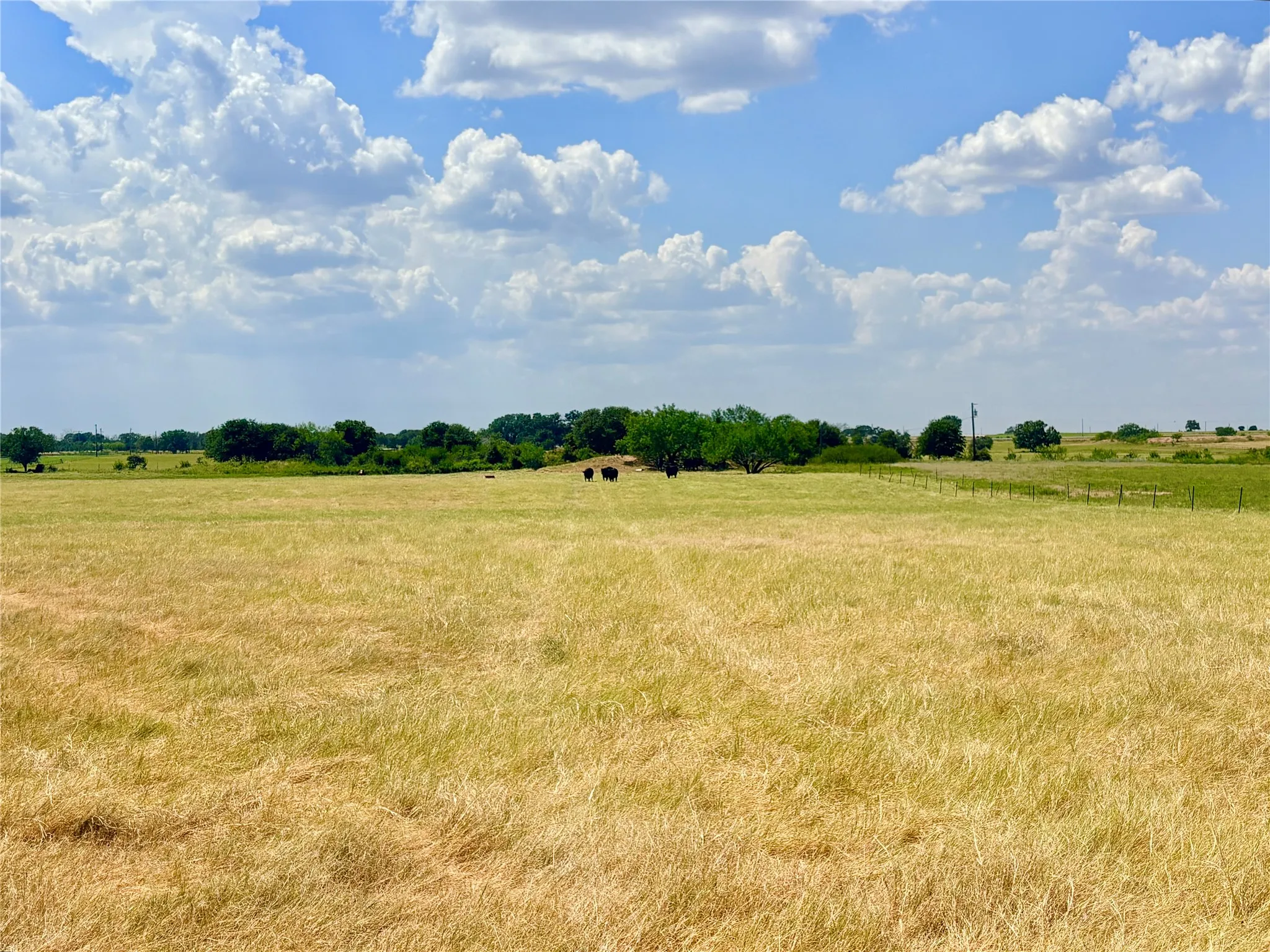 Farm For Sale in Eastland County , 325 Highway 2563, Eastland, Texas 76448, 3 Bedroom, 2 Bathroom, 2 Garage spaces, 2,272 Sqft, built in 1967, mls#21372633, Real Estate Agent in Eastland, Homes For Sale in Eastland county, Homes For Sale in Eastland, Realtor in Eastland Texas, Real Estate Brokerage Independent Realty Texas, Luminita Cordes Realtor