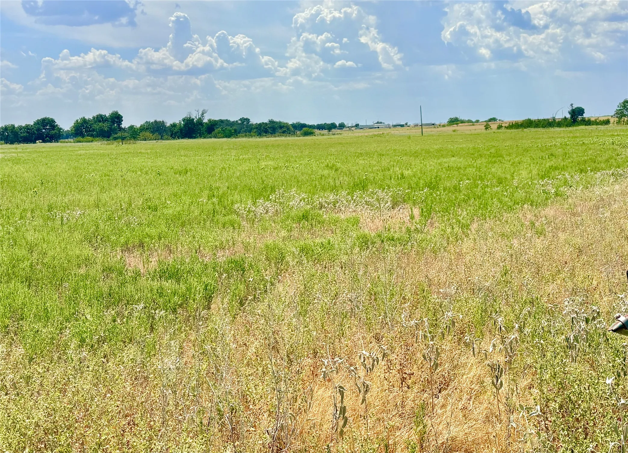 Farm For Sale in Eastland County , 325 Highway 2563, Eastland, Texas 76448, 3 Bedroom, 2 Bathroom, 2 Garage spaces, 2,272 Sqft, built in 1967, mls#21372633, Real Estate Agent in Eastland, Homes For Sale in Eastland county, Homes For Sale in Eastland, Realtor in Eastland Texas, Real Estate Brokerage Independent Realty Texas, Luminita Cordes Realtor