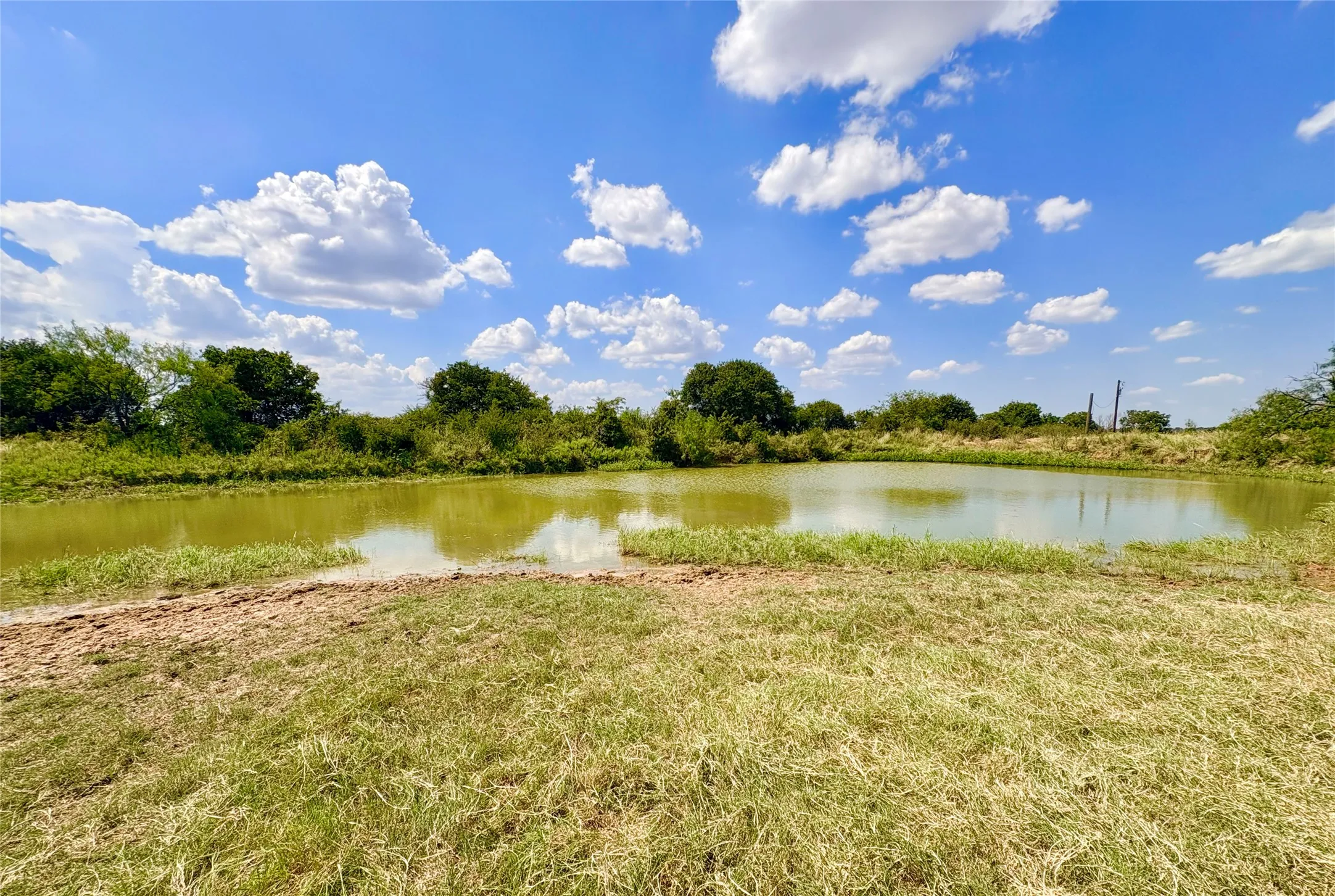 Farm For Sale in Eastland County , 325 Highway 2563, Eastland, Texas 76448, 3 Bedroom, 2 Bathroom, 2 Garage spaces, 2,272 Sqft, built in 1967, mls#21372633, Real Estate Agent in Eastland, Homes For Sale in Eastland county, Homes For Sale in Eastland, Realtor in Eastland Texas, Real Estate Brokerage Independent Realty Texas, Luminita Cordes Realtor