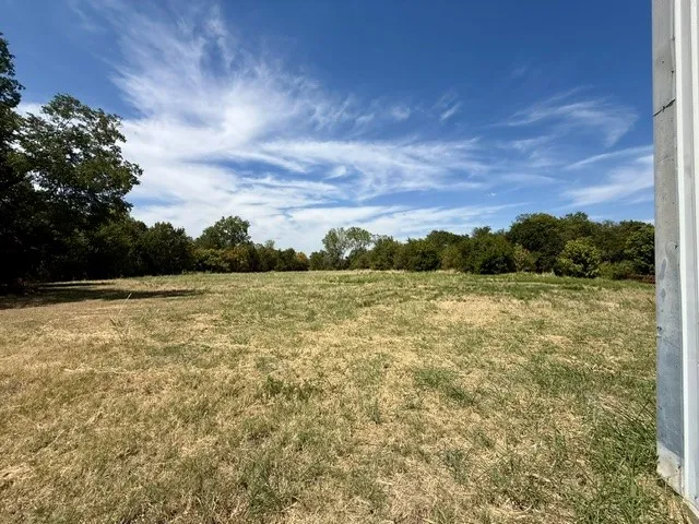 Expansive open lot with natural grass and mature perimeter trees