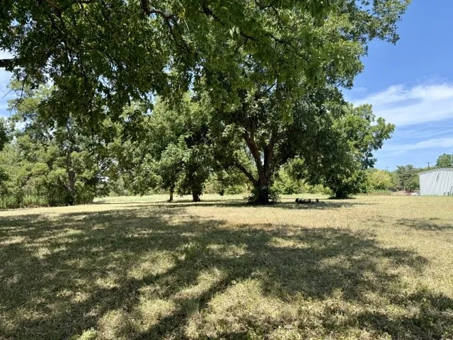 Expansive open lot featuring mature trees providing natural shading