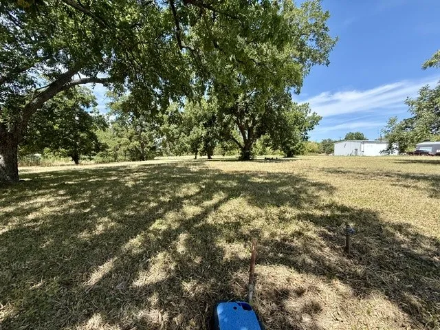 Expansive lot with mature trees providing partial shade