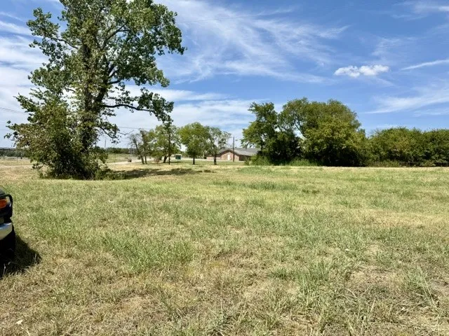 Expansive grassy lot with mature trees