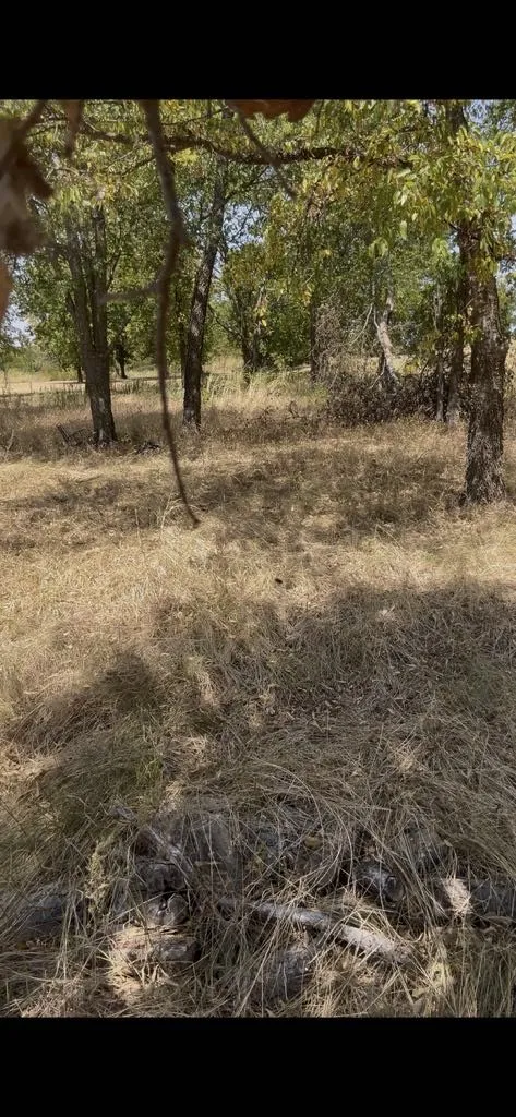 Unimproved Land For Sale in Hunt County , 103313 Hillside Circle, Lone Oak, Texas 75453, 0, 0, Garage spaces, 0 Sqft, built in 0, mls#21369709, Real Estate Agent in Lone Oak, Homes For Sale in Hunt county, Homes For Sale in Lone Oak, Realtor in Lone Oak Texas, Real Estate Brokerage Independent Realty Texas, Luminita Cordes Realtor