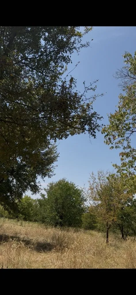 Unimproved Land For Sale in Hunt County , 103234 Hillside Circle, Lone Oak, Texas 75453, 0, 0, Garage spaces, 0 Sqft, built in 0, mls#21372666, Real Estate Agent in Lone Oak, Homes For Sale in Hunt county, Homes For Sale in Lone Oak, Realtor in Lone Oak Texas, Real Estate Brokerage Independent Realty Texas, Luminita Cordes Realtor