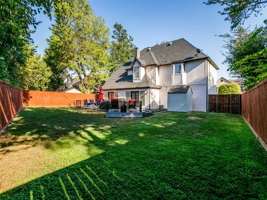 Back yard